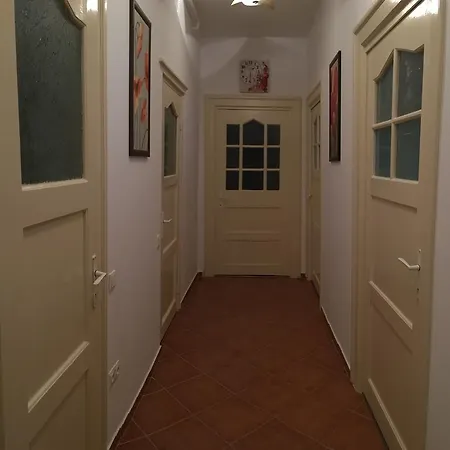 Carpathian Apartment Brasov