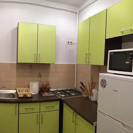 Apartment Carpathian *