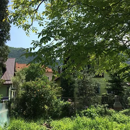 Apartment Carpathian